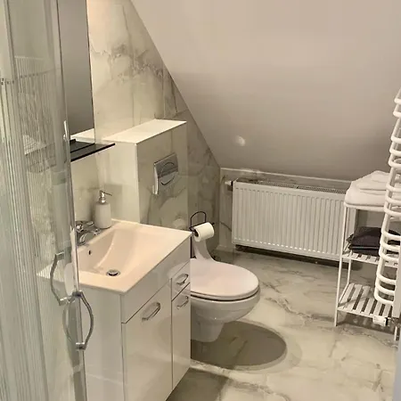 公寓 Borowik Kojszowka